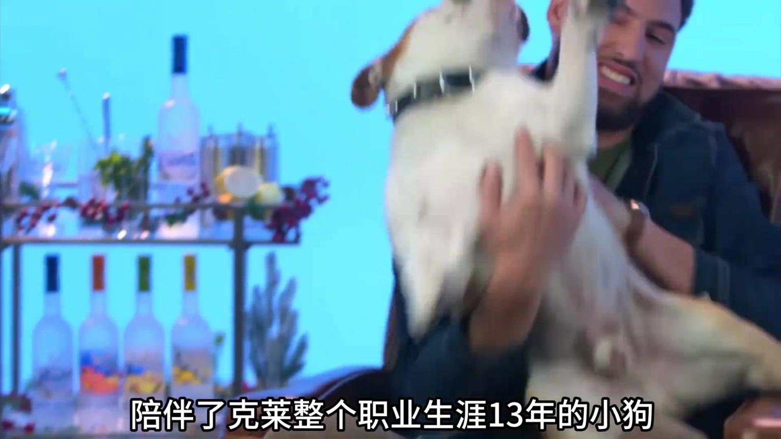 陪伴克莱13年的小狗去世了，不敢相信克莱得多么伤心